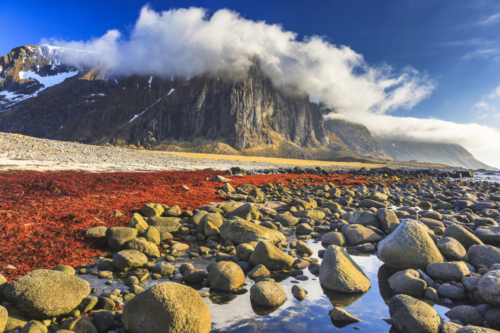 Eggum, Lofoten, Norwegen