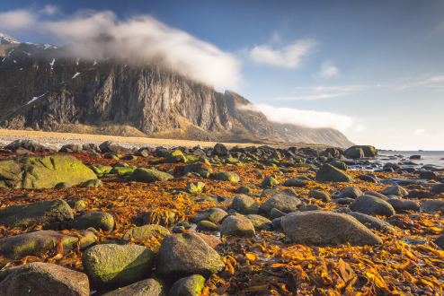 Eggum, Lofoten, Norwegen