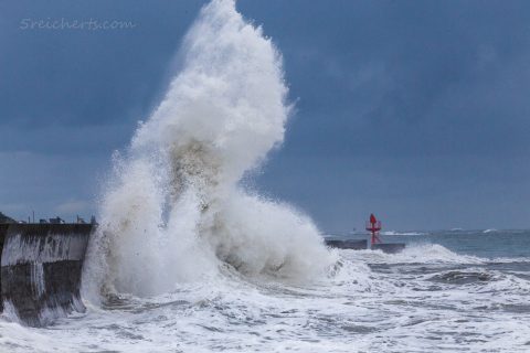 Mauerklatscher, Lesconil