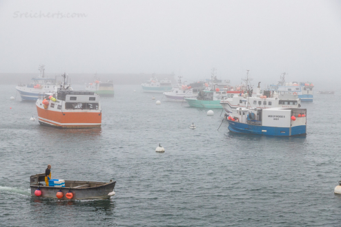 Der Hafen von Le Conquet im Nebel
