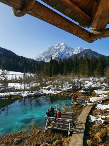 Die Zelenci Quellen bei Kranjska Gora