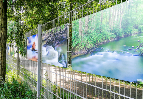 Naturfotos in der Natur