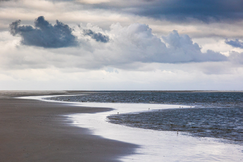Küstenline, Ameland