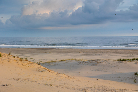 Dünenlandschaft am Morgen, Ameland