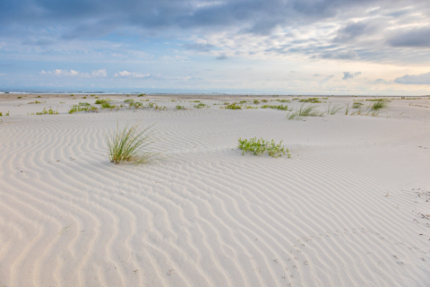 Muster im Sand nach dem Sturm, Ameland