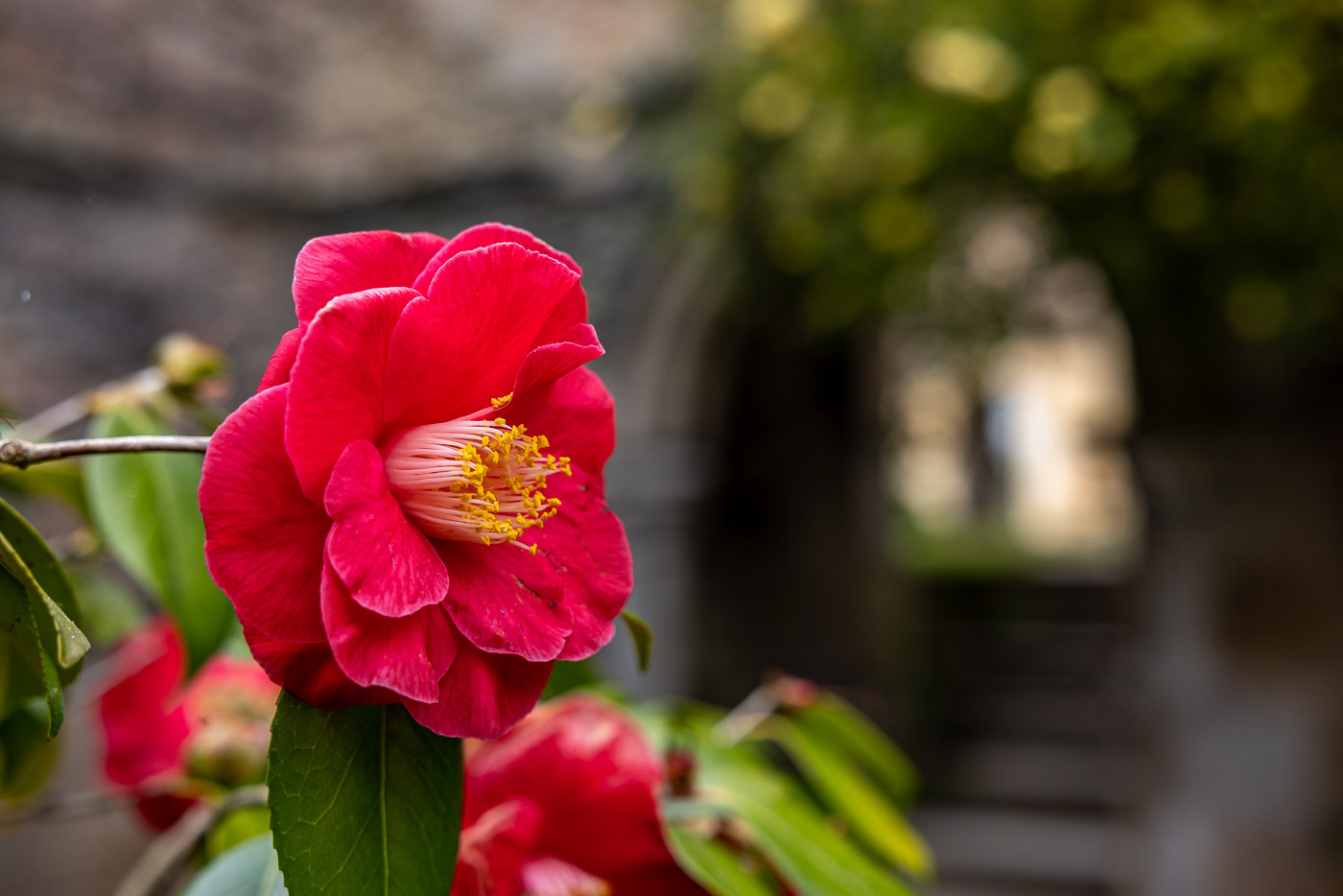 Die Abbaye de Beauport Kurztrip in die Vergangenheit 5reicherts
