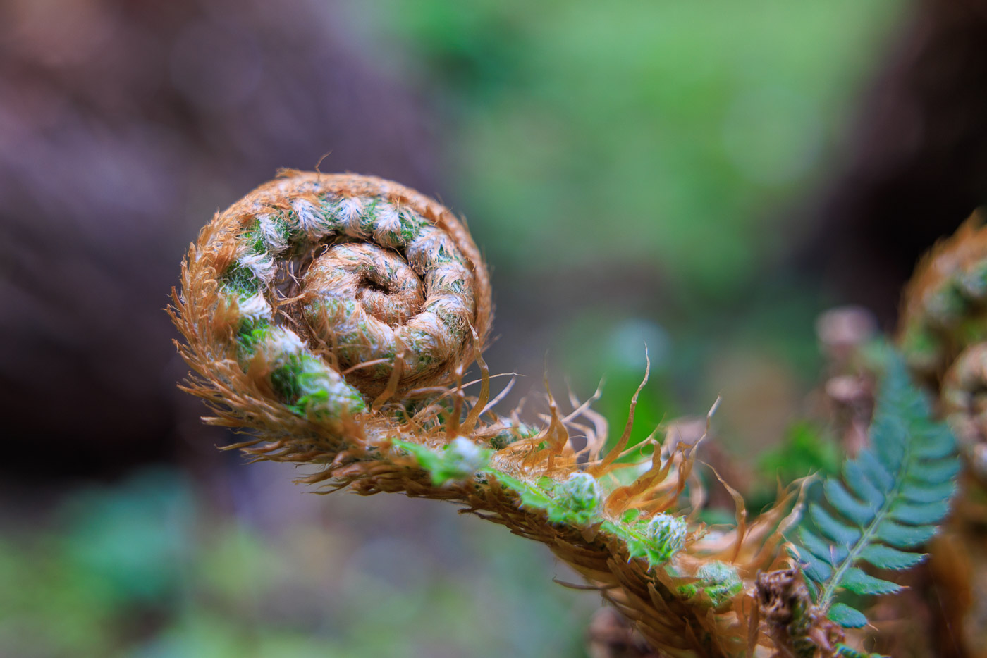 Die Abbaye de Beauport Kurztrip in die Vergangenheit 5reicherts