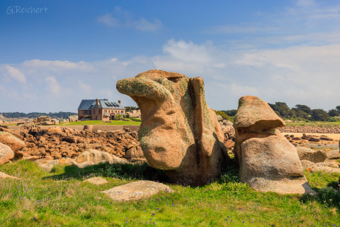 Felsen auf der Gezeiten-Insel vor der Ile Renote