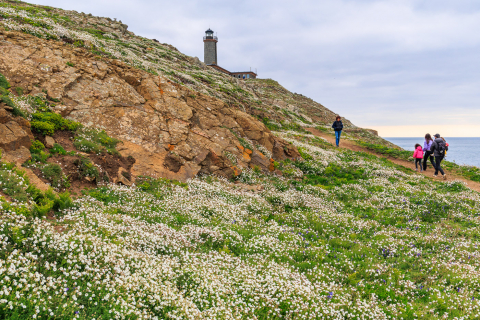 Phare de Sept Iles auf der Ile aux Moins