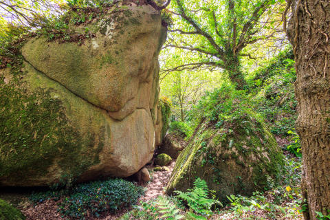 Felsen im Wald im Vallée Traouiero