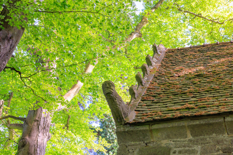 Kapelle im Wald