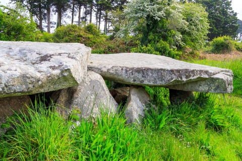 Allee Couverte von Prajou-Menhir
