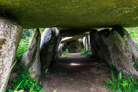 Allee Couverte von Prajou-Menhir