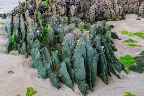 Grüne Schieferplatten am Plage des cures