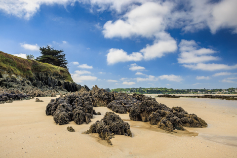 Plage des cures, Plestin les Greves