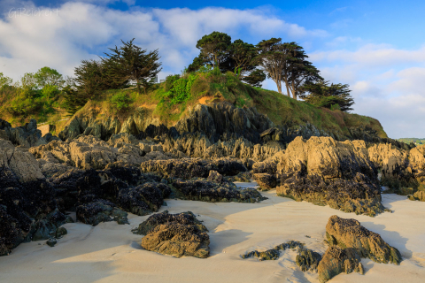 Plage des cures