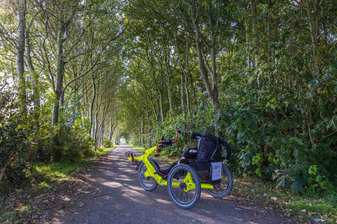 Radwege auf Ameland