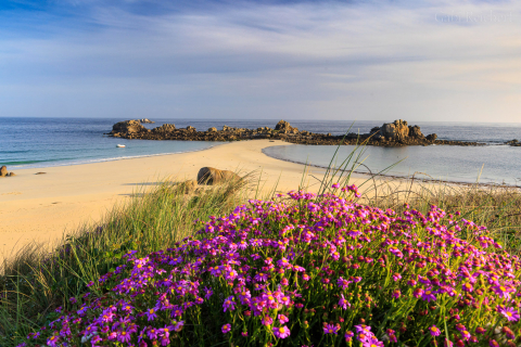 Plage des Amiets