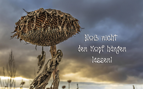 Lass den Kopf nicht hängen