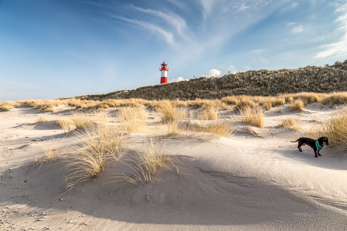 Leuchttürme & Hundstage auf Sylt