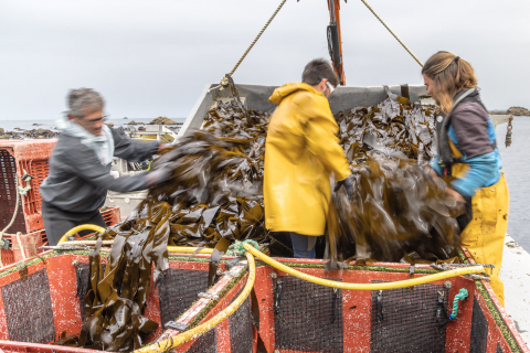 Der Tang wird verladen
