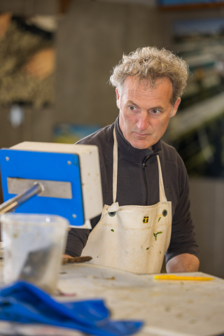 Sylvain sortiert Seeohren nach ihrer Größe