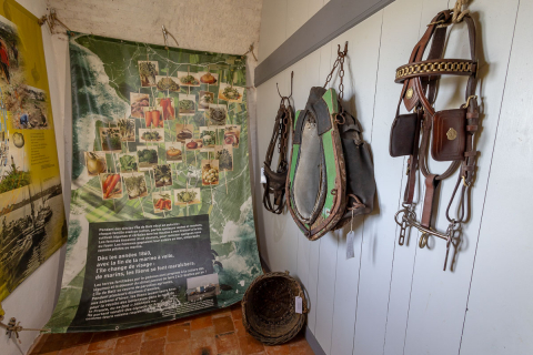 Das Museum im Leuchtturm der Ile de Batz