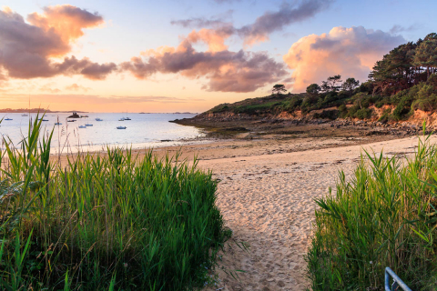 Plage du Cosmeur, Carantec