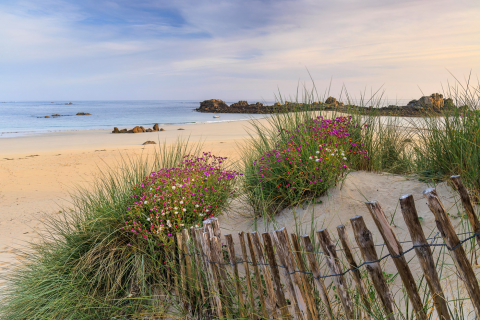 Frühling an der Plage des Amiets