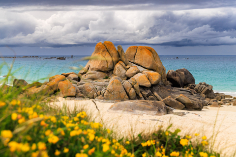 Frühling an der Plage des Amiets