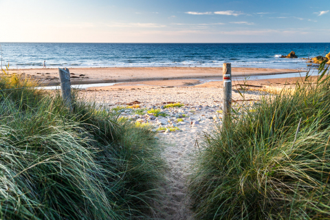 Weg zum Strand, Frehel