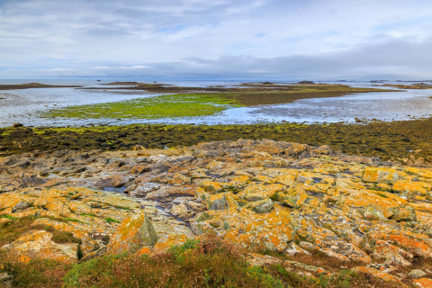 Blick über die Insel Molene
