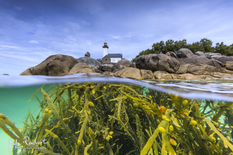 Phare du Pontusval