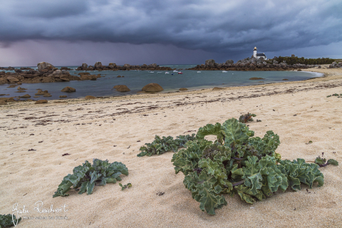 Regenwetter am Phare du Pontusval