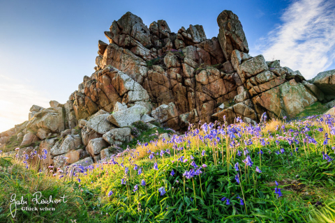 Frühling in der Bretagne