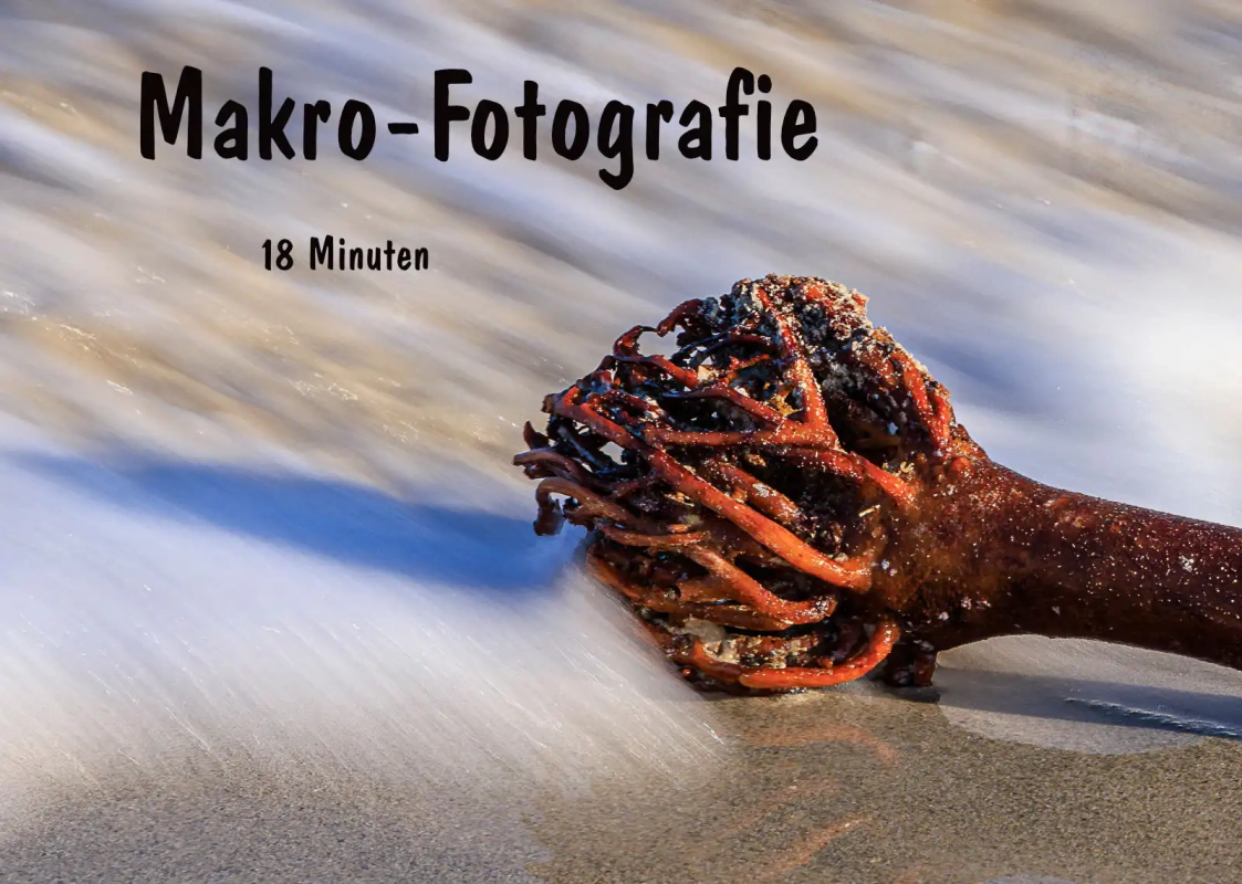 Makro-Fotografie in der Bretagne