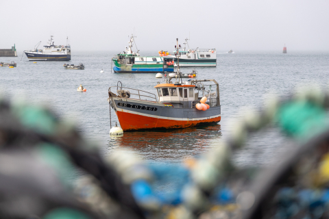 Im Hafen von Le Conquet