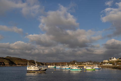 Im Hafen von Le Conquet