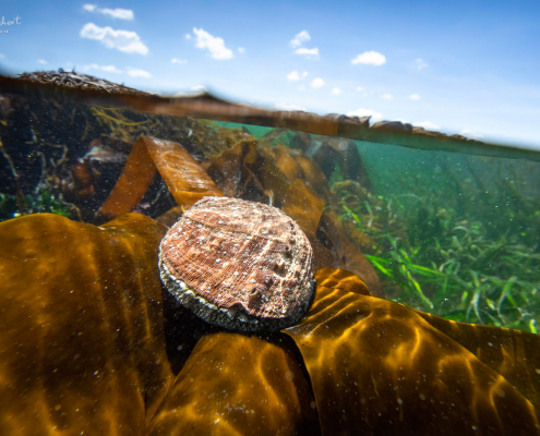 Splitfoto einer Ormeau