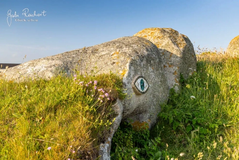 Auge des Pierre Chanteau in Brignogan-Plages