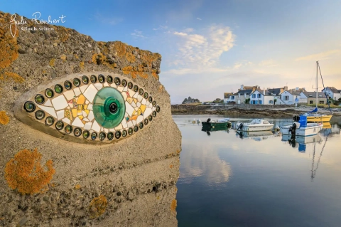Auge in Lesconil, Bretagne