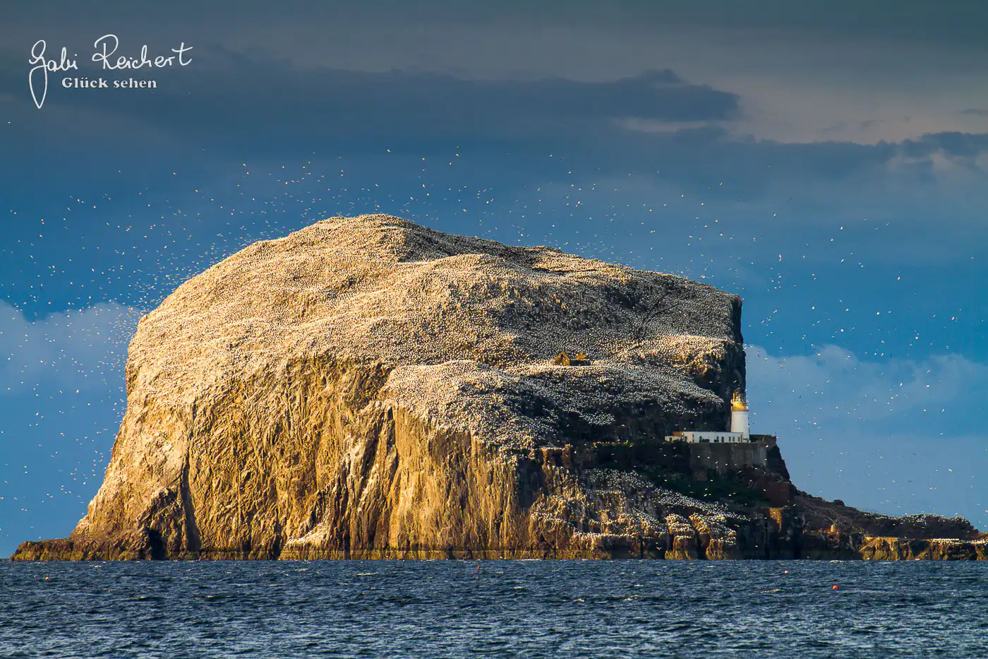 Bass Rock, Schottland