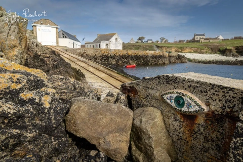 Auge auf der Insel Ouessant
