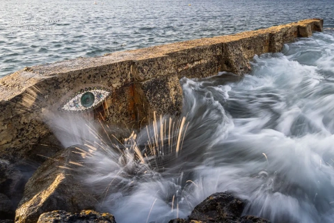 Auge auf der Insel Ouessant