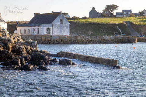 Auge auf der Insel Ouessant