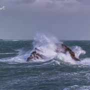 Wellen in Lilia, Sturm Nils Wellen in Lilia, Sturm Nils