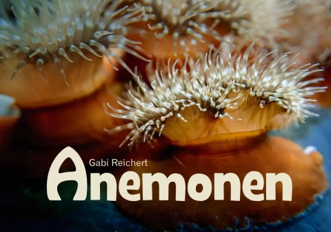 Bildband Anemonen Bildband Anemonen