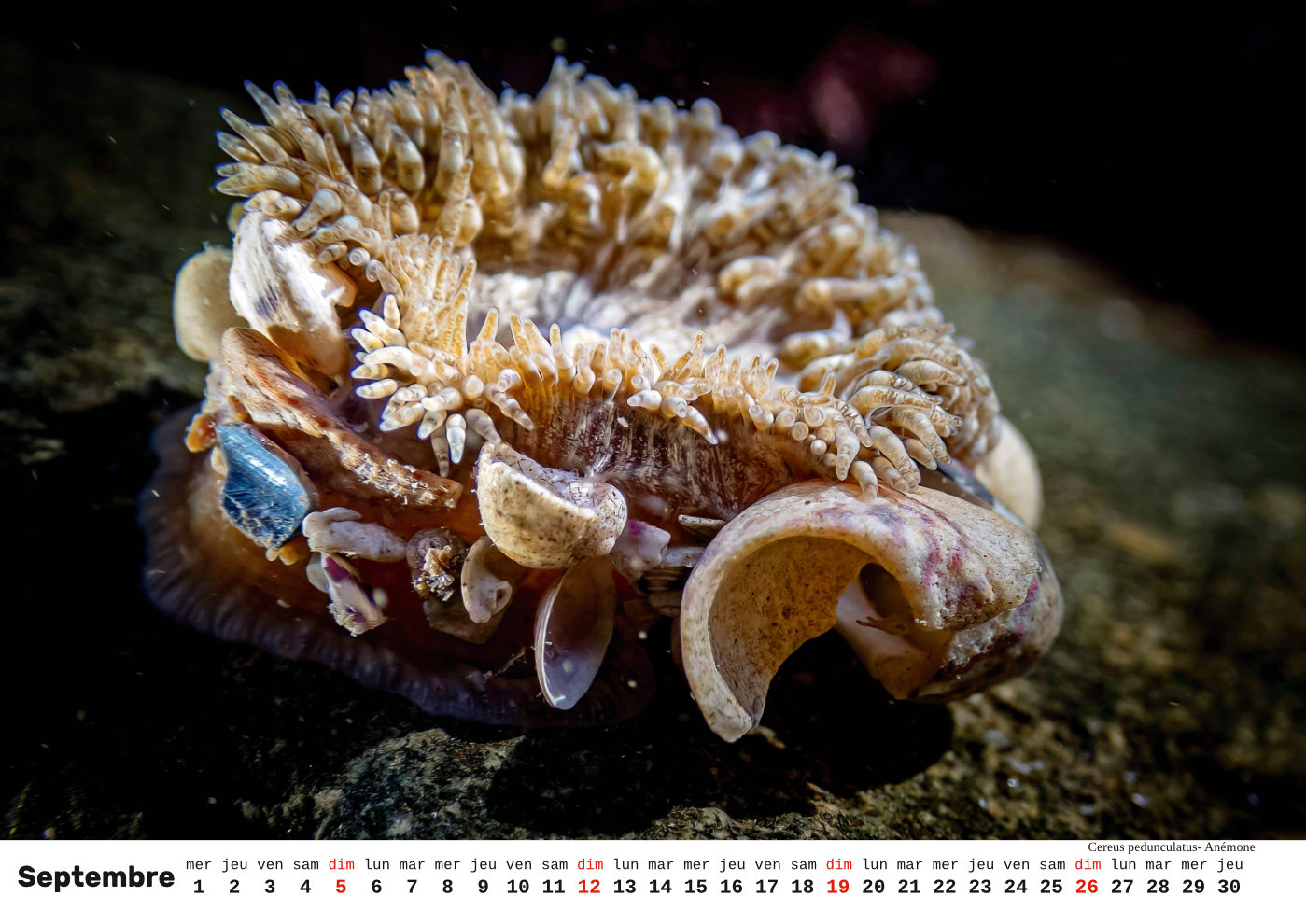 Unterwasser-FR_10 Unterwasser-FR_10