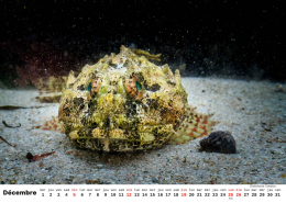 Unterwasser-FR_13 Unterwasser-FR_13