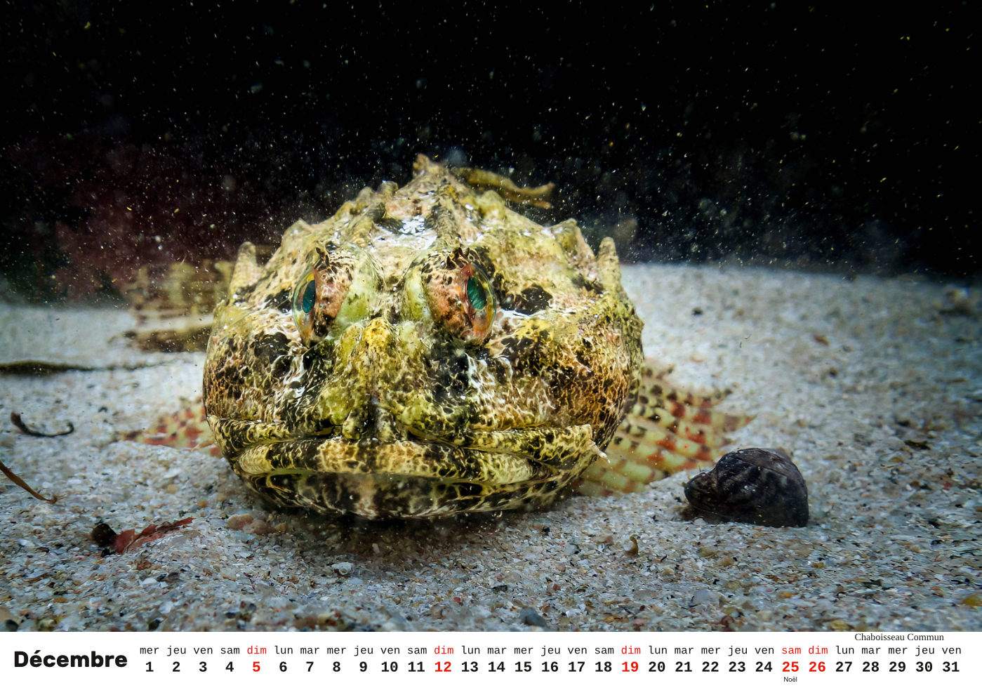 Unterwasser-FR_13 Unterwasser-FR_13